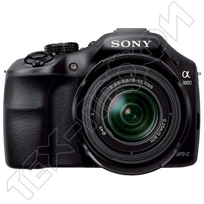  Sony Alpha SLT-A3000